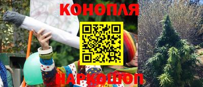 тгк Кунгур