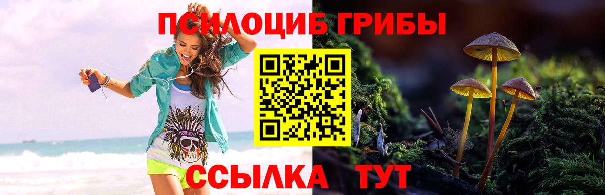 Псилоцибиновые грибы мицелий Фрязино